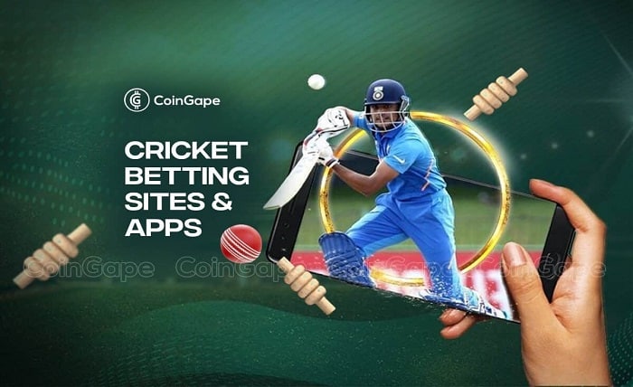 6 best cricket betting sites