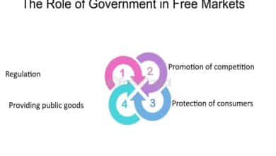 Role of Government