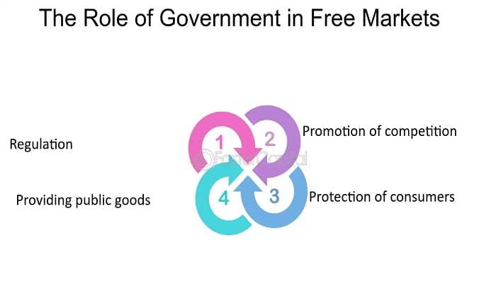 Role of Government